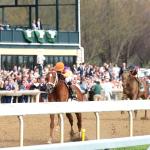 Big Wins Propel Further Ado, So Happy Upward in Triple Crown Power Rankings